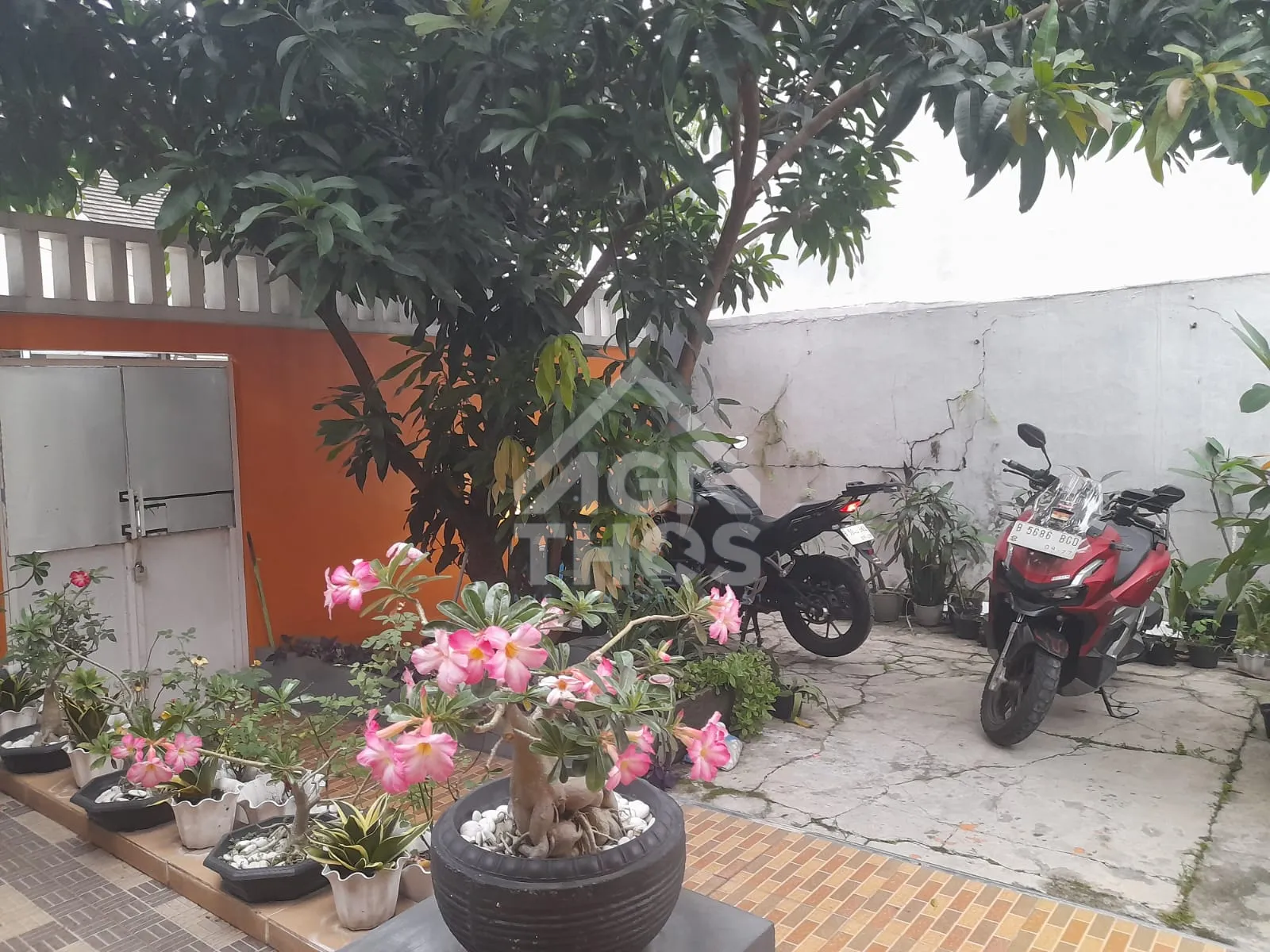 Thumbnail Properti 6