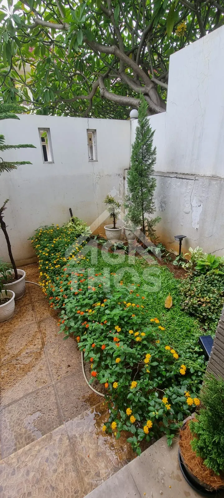 Thumbnail Properti 2