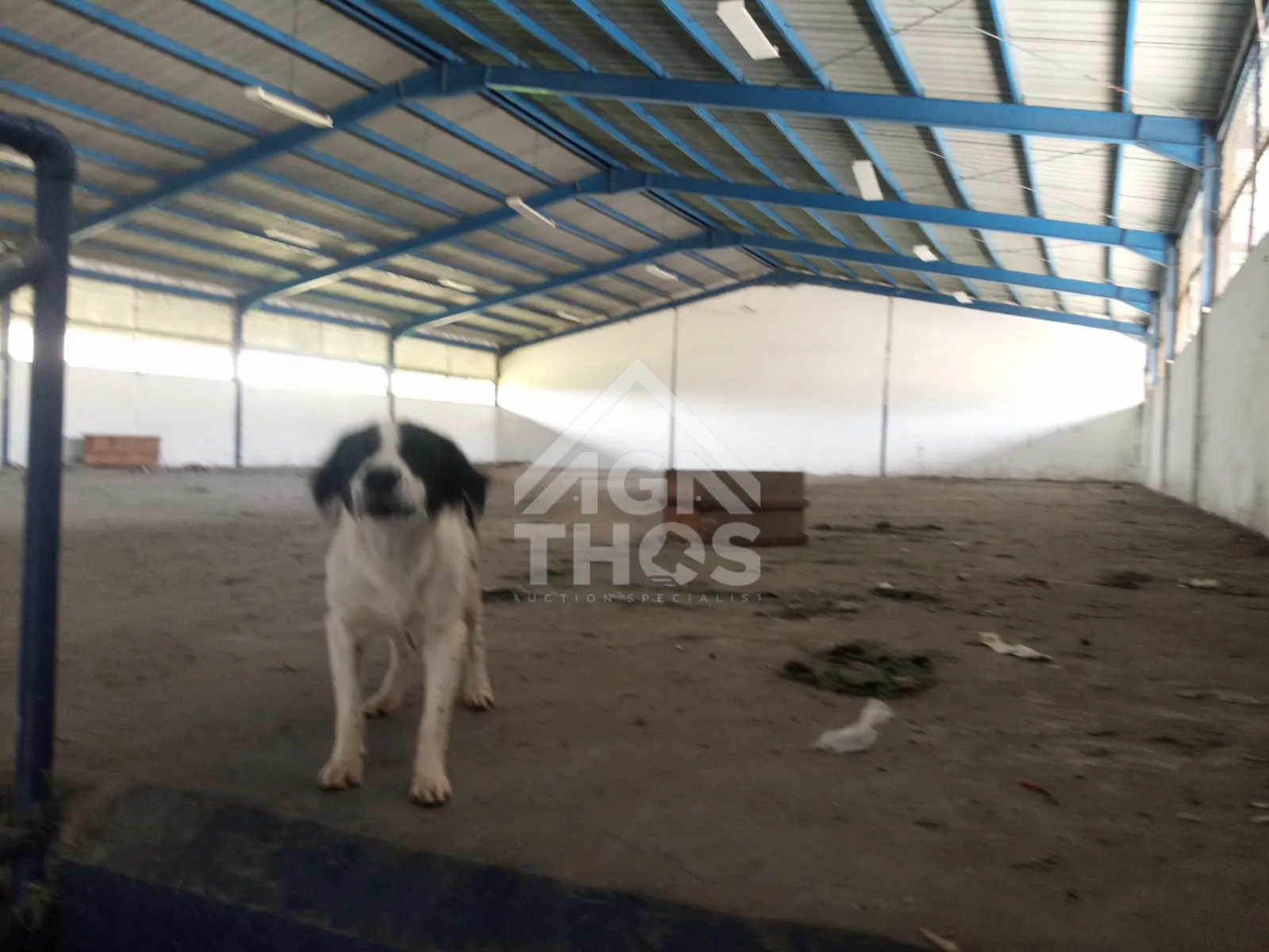 Thumbnail Properti 11