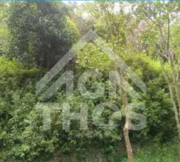 Foto Properti Dijual Tanah Pramestha Resort Town