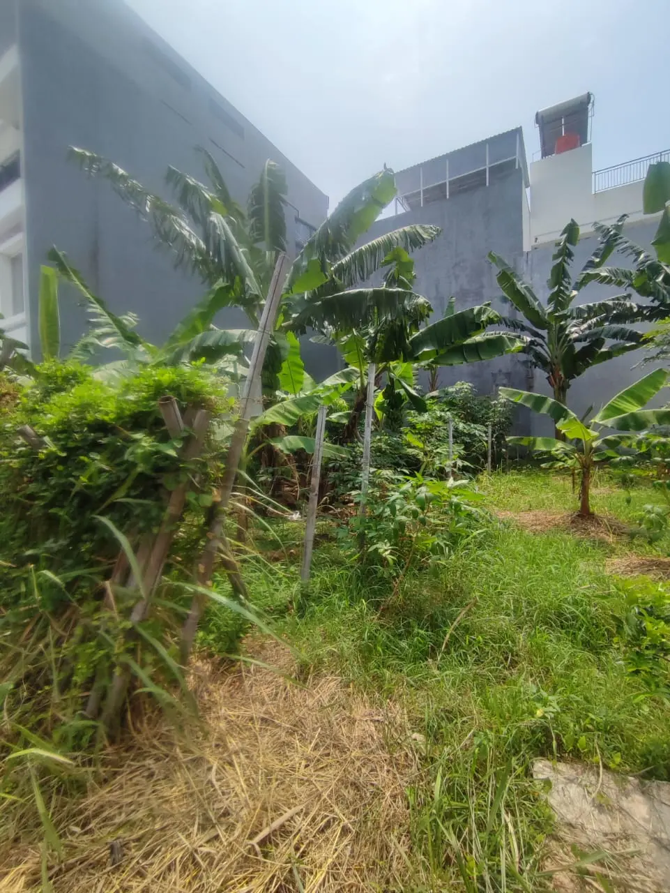 Foto Properti Dijual Tanah Kosong Marina Cove Ancol